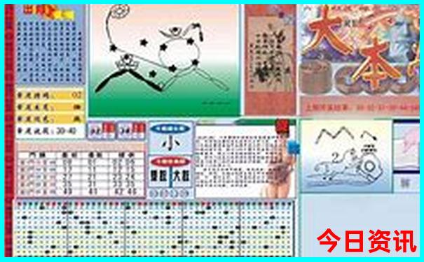 李芸演员个人资料